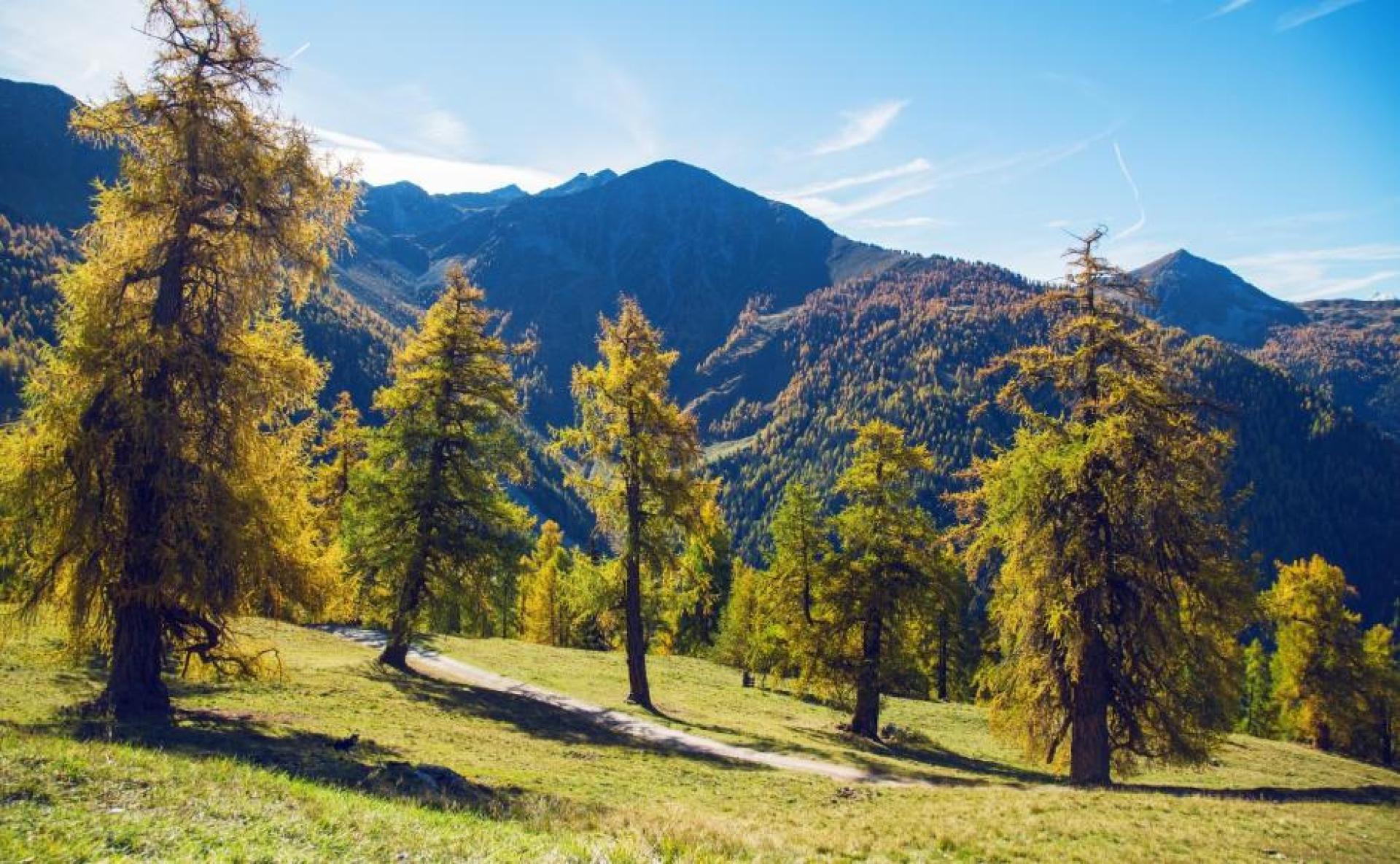 Isérables | La Tzoumaz | Office du Tourisme