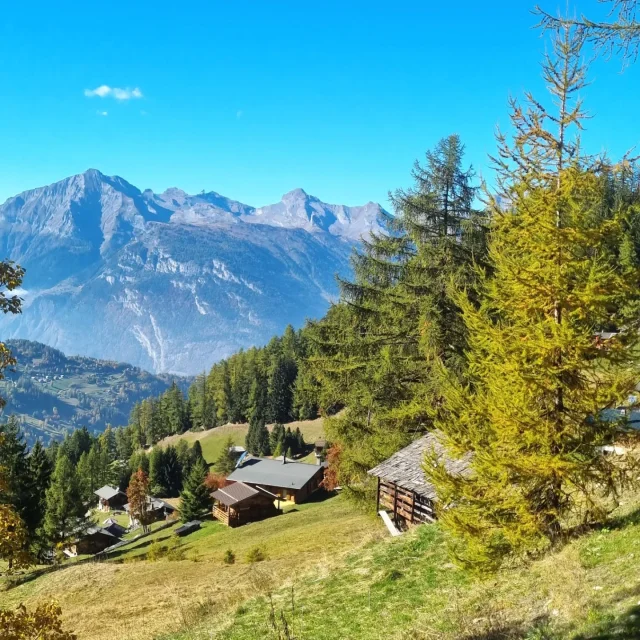 Instagram #latzoumaz