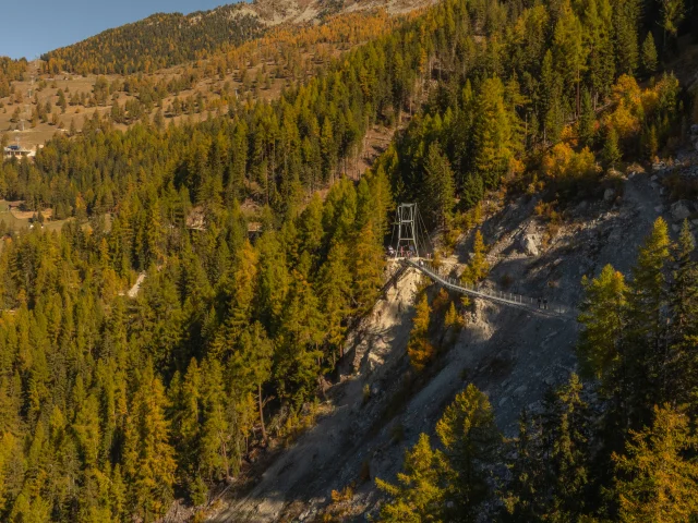 Passerelle Dzoras 025