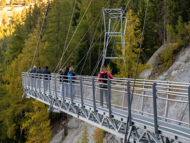 Passerelle Dzoras @jebprod 1